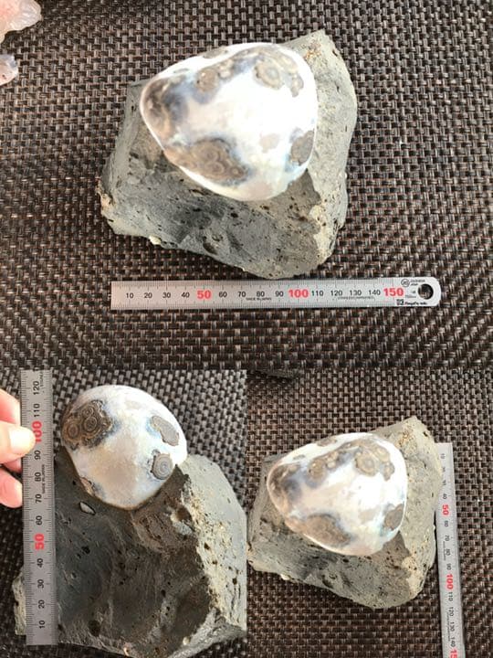 ゴビ石−624 ゴビ瑪瑙　原石　眼石　鉱物 標本