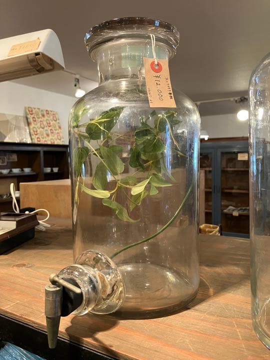 ビンテージ雰囲気抜群でインテリアが映える栓付き薬瓶,花瓶　高さ約40cm特大