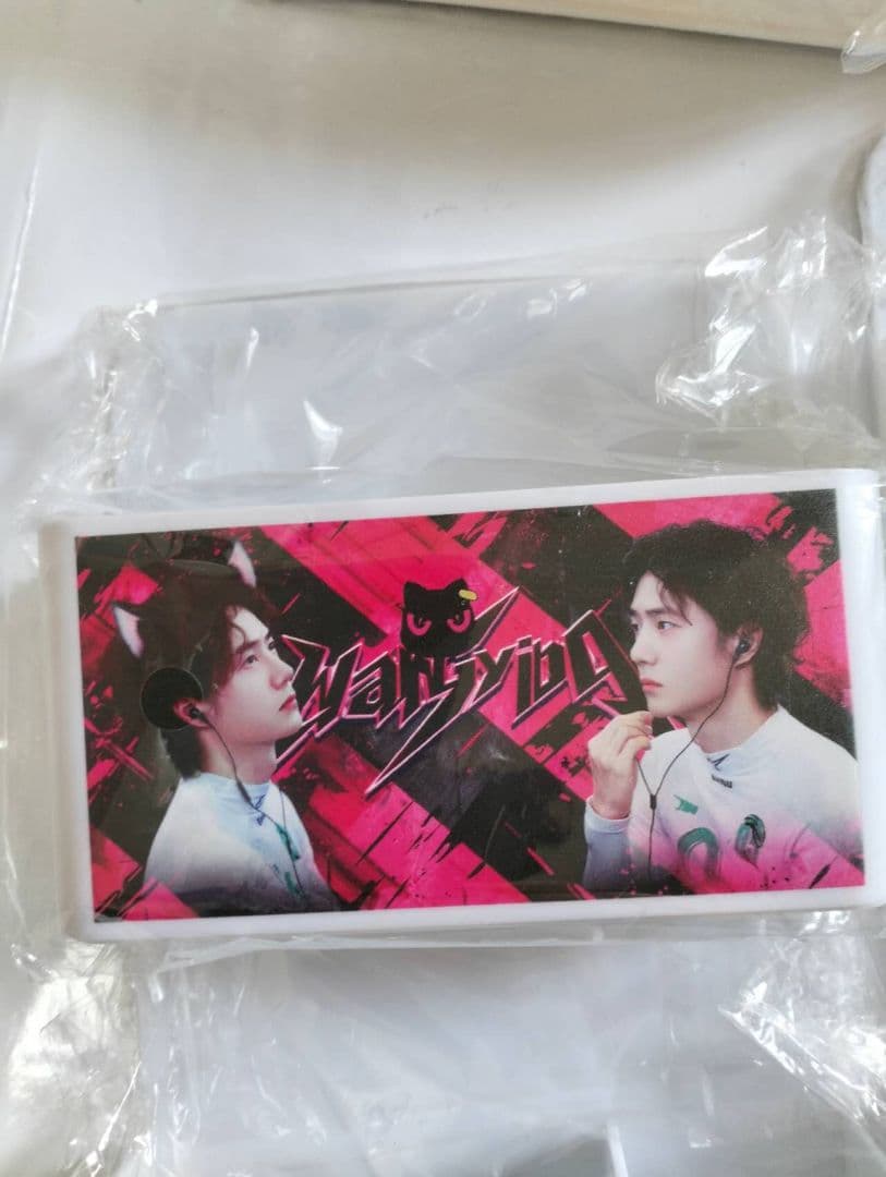 0319①王一博 肖战肖戦陳情令マグネットケース5点セット