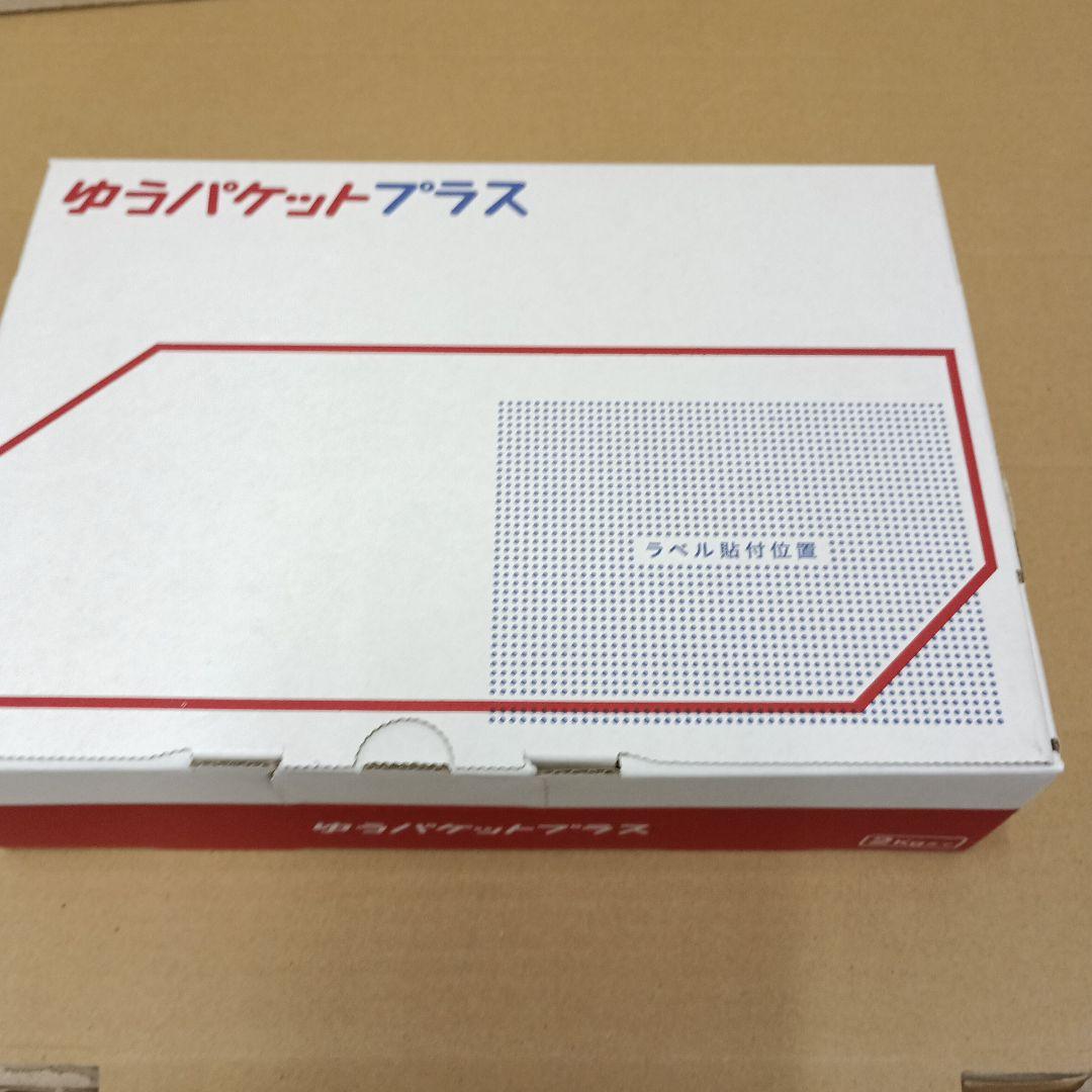 ポケモンカードゲーム メガスカイストームEX 新品未開封シュリンク付2BOX