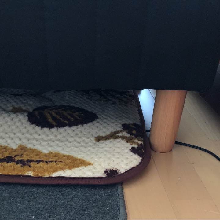 ベッド  ブラック