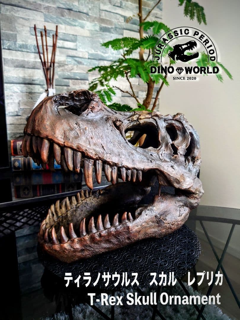 【2個セット】外箱なし ティラノサウルス トリケラトプス 頭骨 化石レプリカ