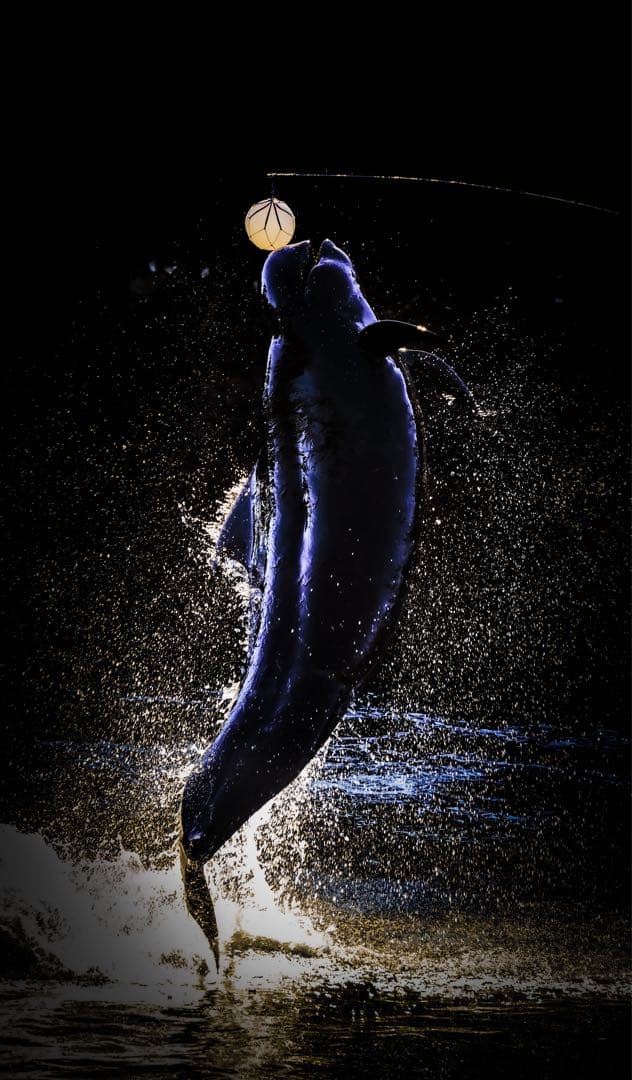 ソニー eマウント 50-400mm F/4.5-6.3 TAMRON