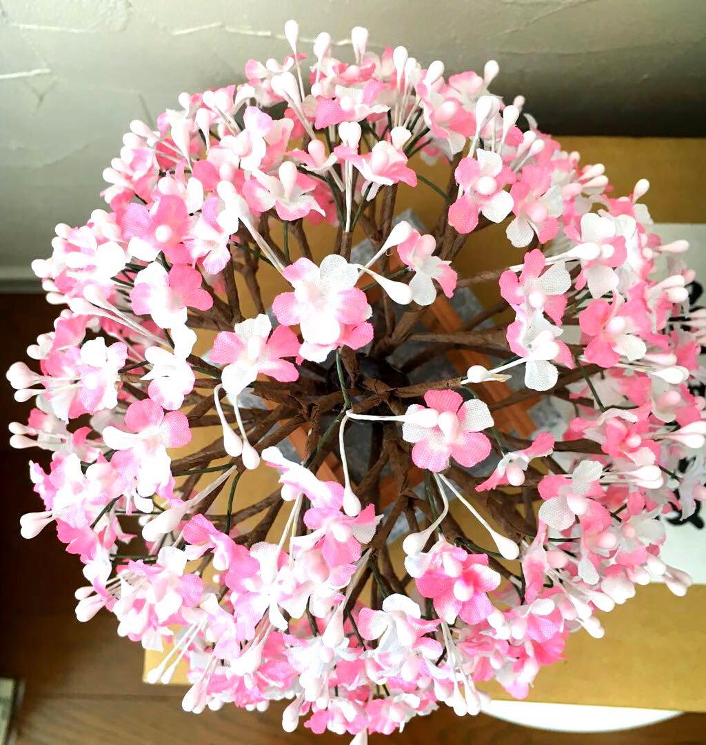 特選◯醍醐桜　6号◯雛人形　ひな祭り　雛道具　橘桜