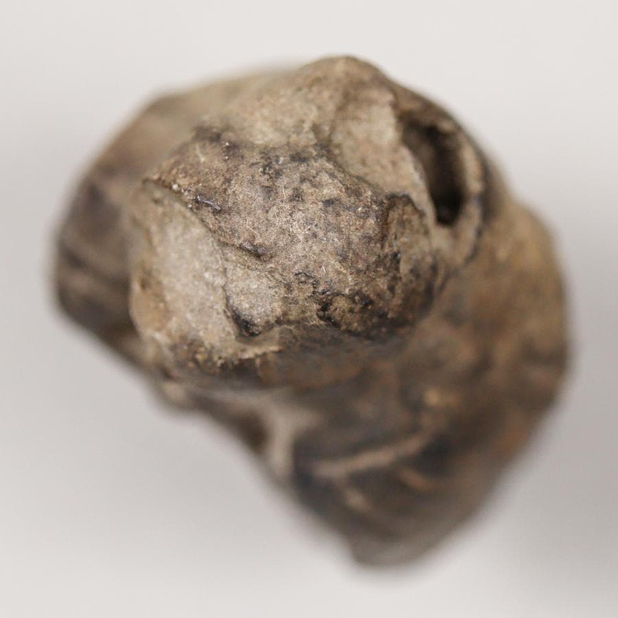 隠れキリシタン マリア像 女神立像 置物