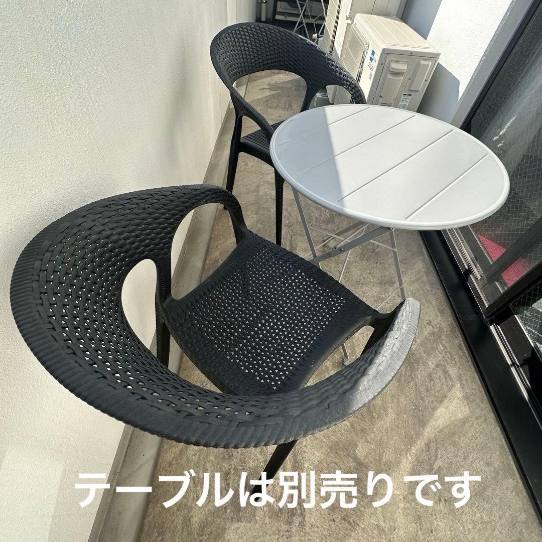 【引き取り限定】ガーデンネットチェア ブラック 2脚