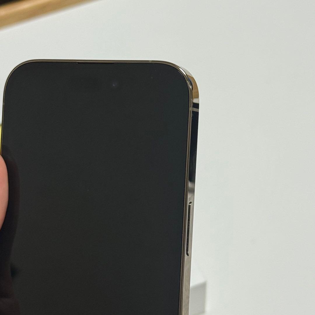 【専用】ロッキー様 (2/22まで)