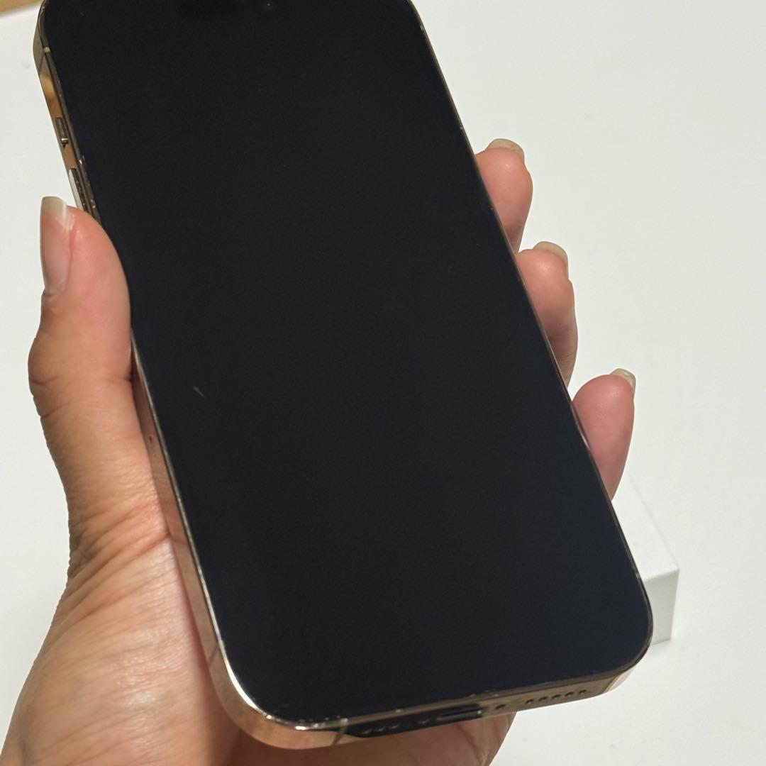 【専用】ロッキー様 (2/22まで)