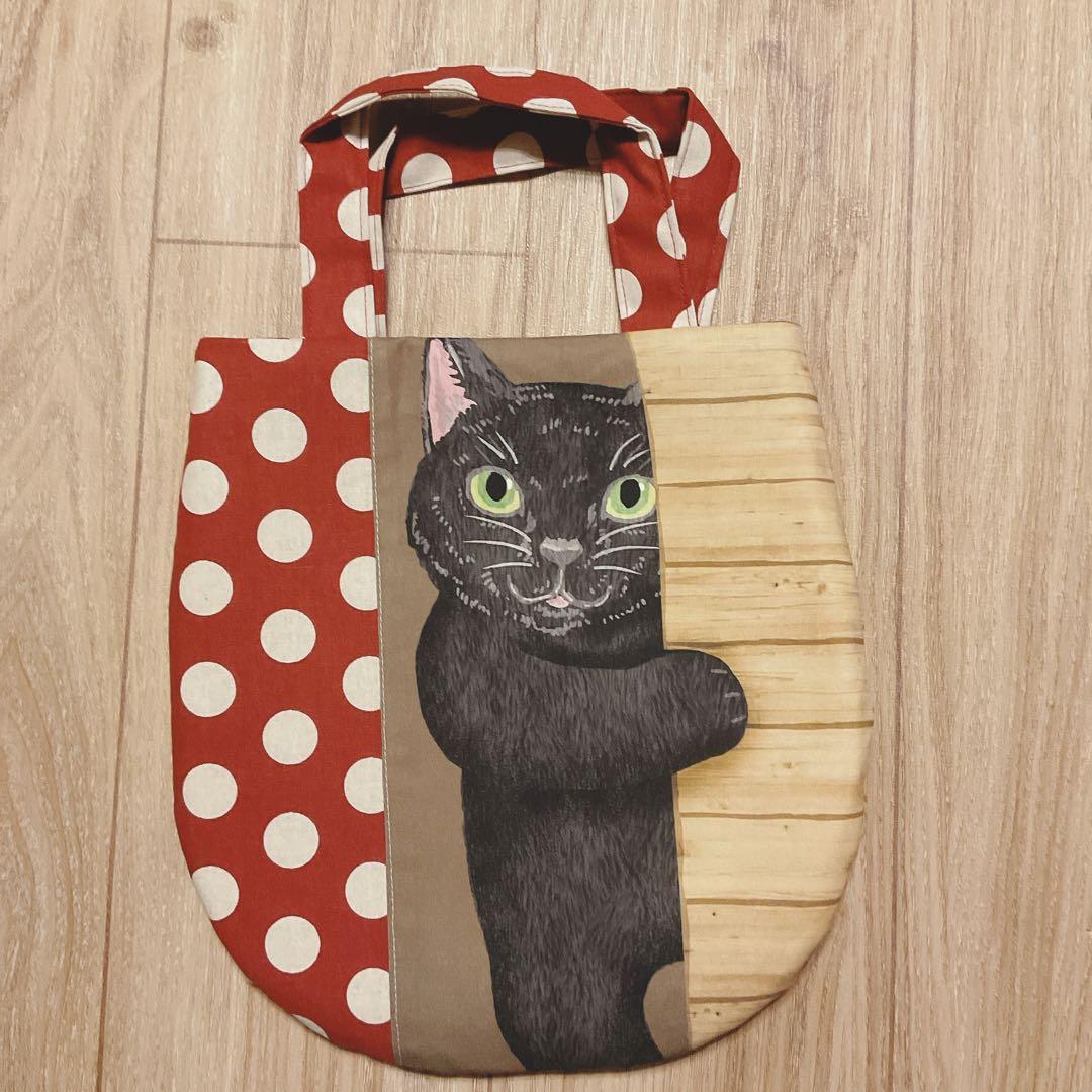 キラキラ⭐️　　ひょっこり猫