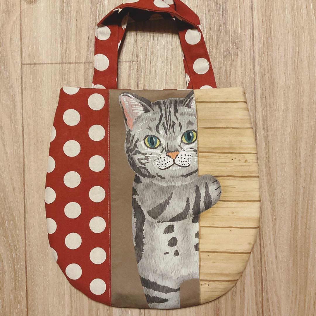 キラキラ⭐️　　ひょっこり猫