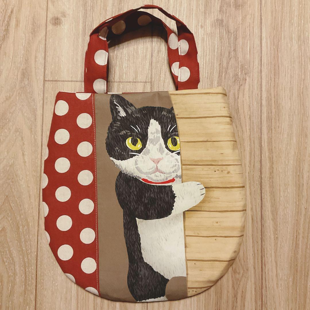 キラキラ⭐️　　ひょっこり猫