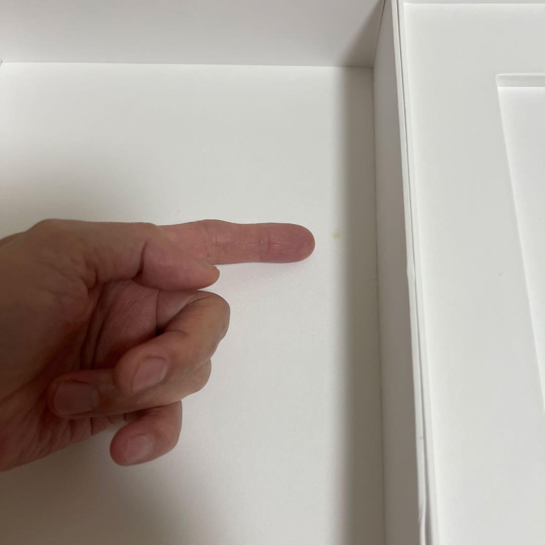 ジャンク　Apple アップル　iPad pro 256G Wi-Fi 第3世代