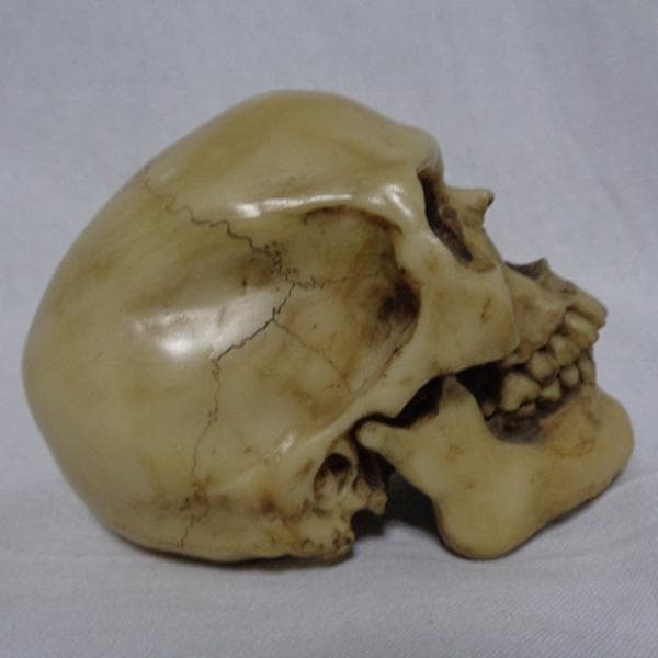 PAGAN ドクロ 髑髏 スカル ガイコツ 骸骨 文鎮 ペーパーウェイト UK製