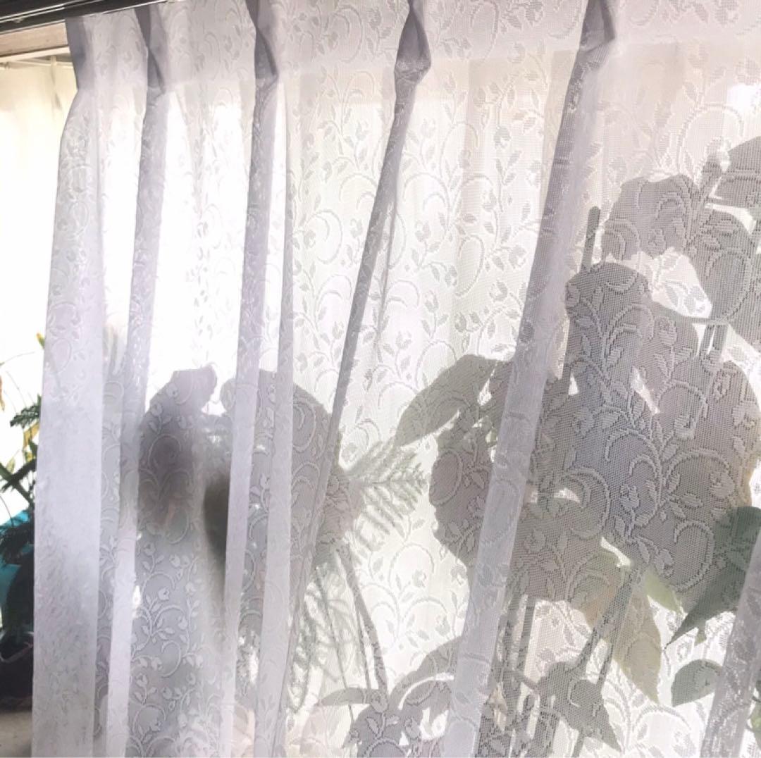 レースカーテン　花柄　幅200cm×丈218cm2枚