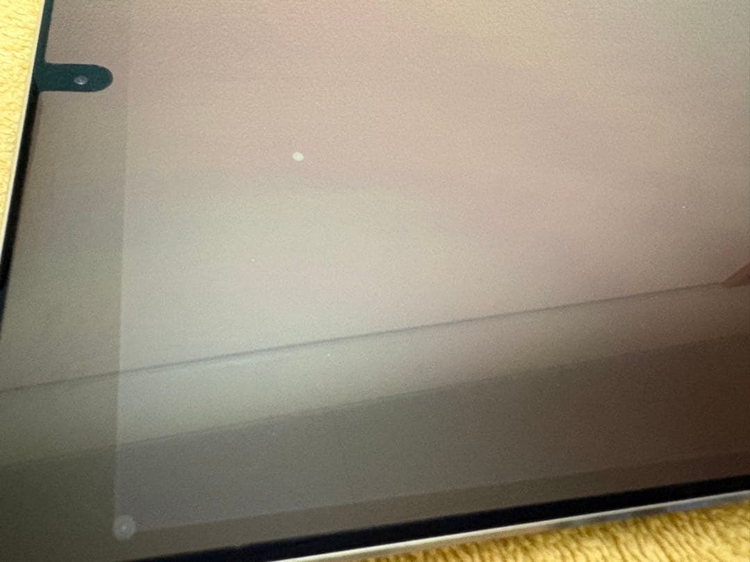 iPad Pro 10.5インチ Wi-Fi 256GB スペースグレイ