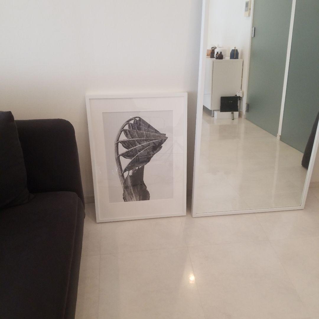 アラキ様　ボーコンセプト　フレームアート　【訳あり】