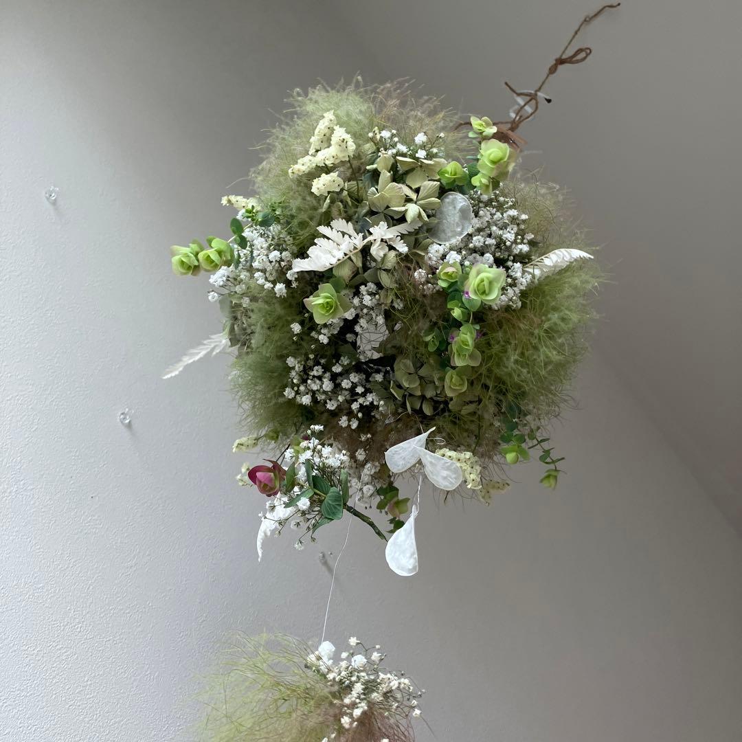 スモークツリー とかすみ草のフライングリース　オレガノ　ケントビューティー