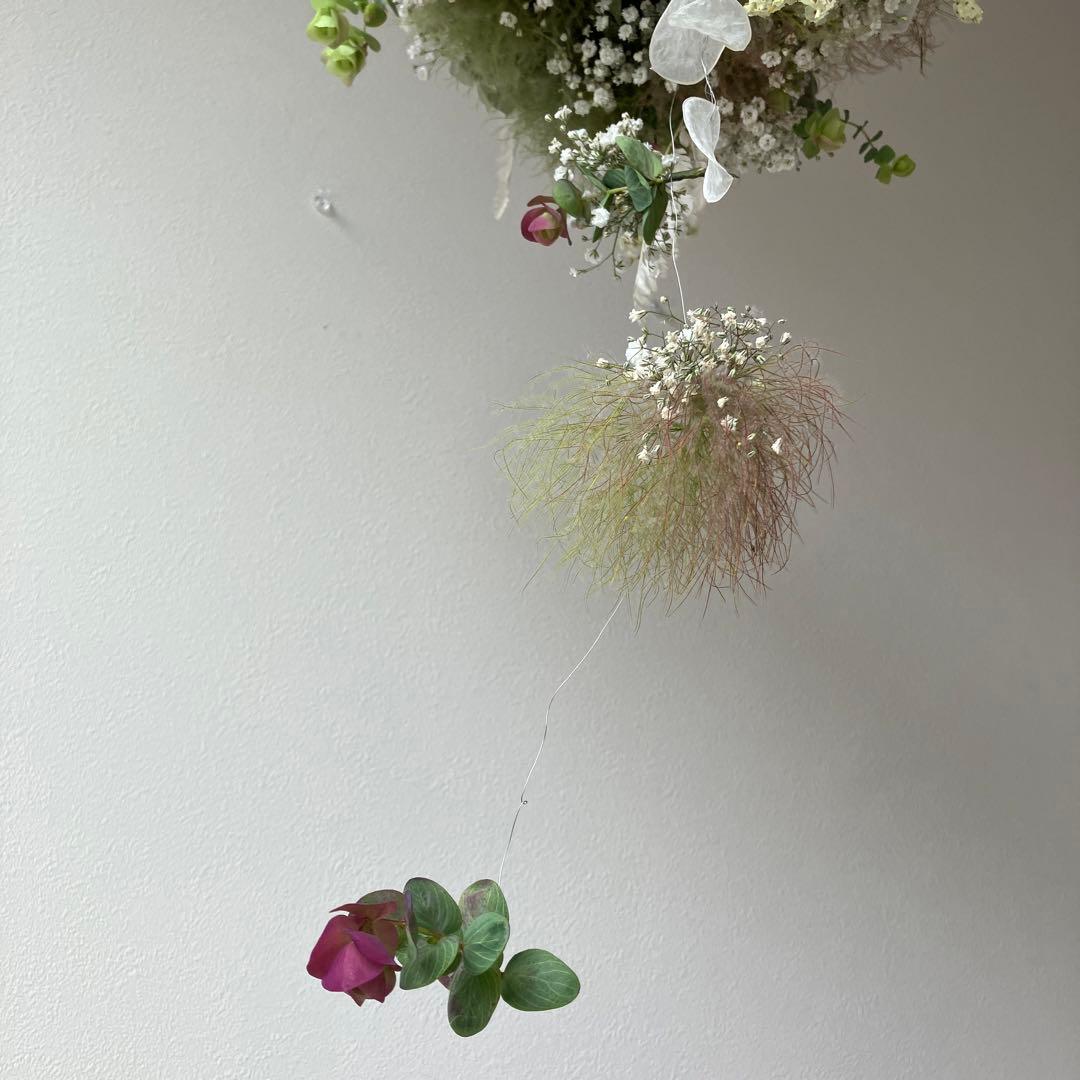 スモークツリー とかすみ草のフライングリース　オレガノ　ケントビューティー