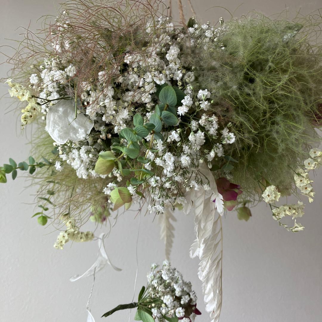 スモークツリー とかすみ草のフライングリース　オレガノ　ケントビューティー