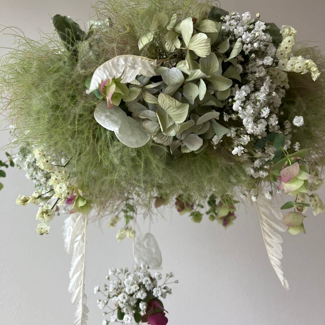 スモークツリー とかすみ草のフライングリース　オレガノ　ケントビューティー