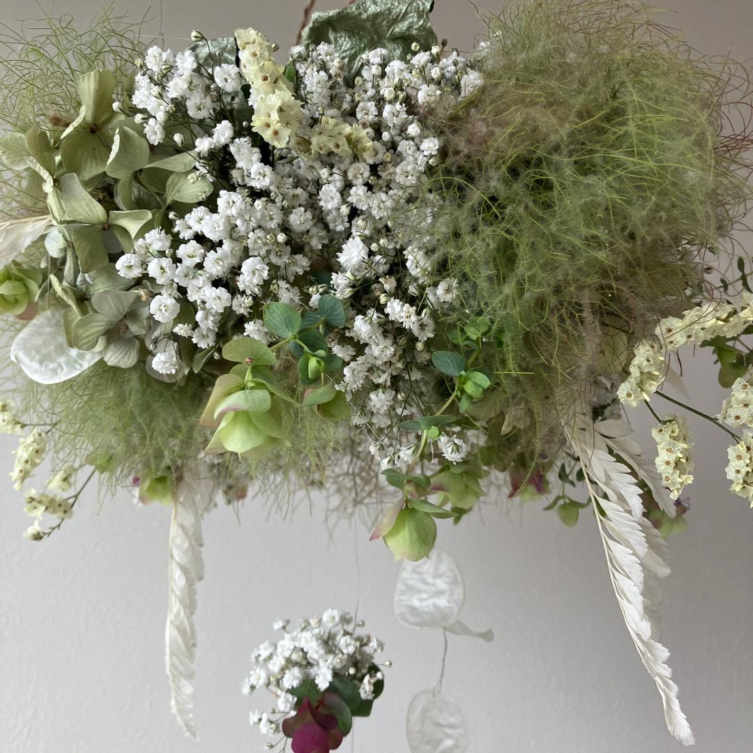 スモークツリー とかすみ草のフライングリース　オレガノ　ケントビューティー