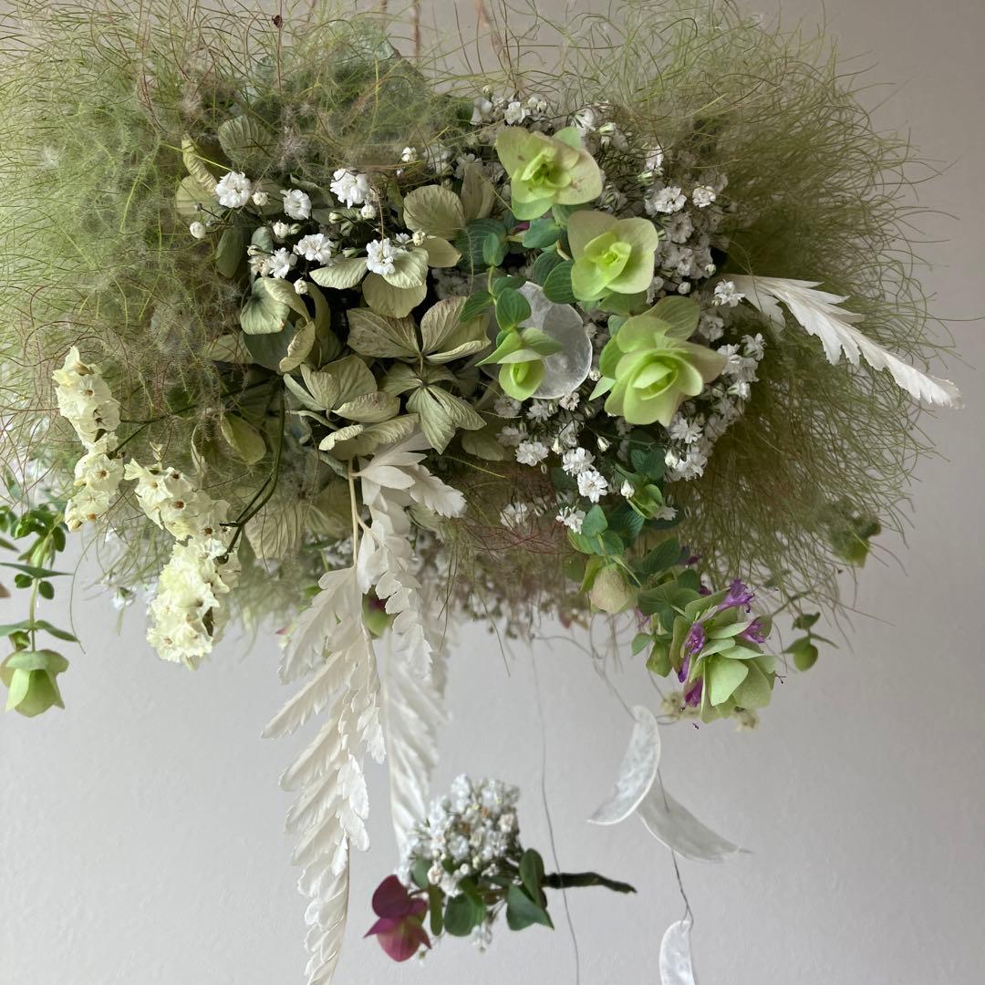 スモークツリー とかすみ草のフライングリース　オレガノ　ケントビューティー