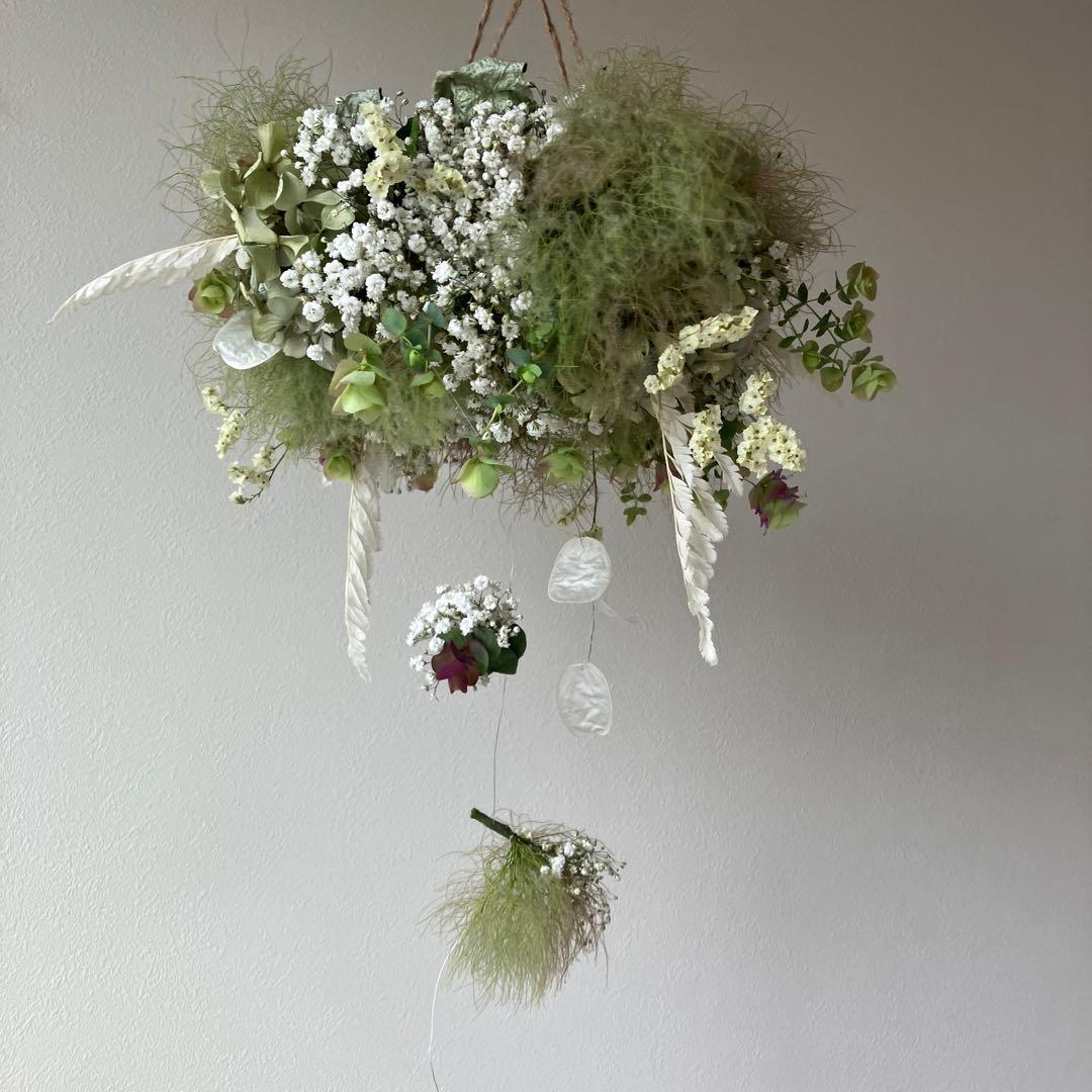 スモークツリー とかすみ草のフライングリース　オレガノ　ケントビューティー