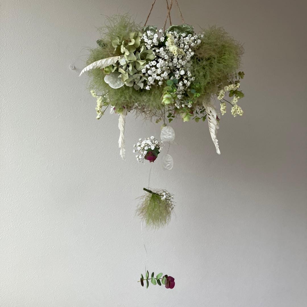 スモークツリー とかすみ草のフライングリース　オレガノ　ケントビューティー