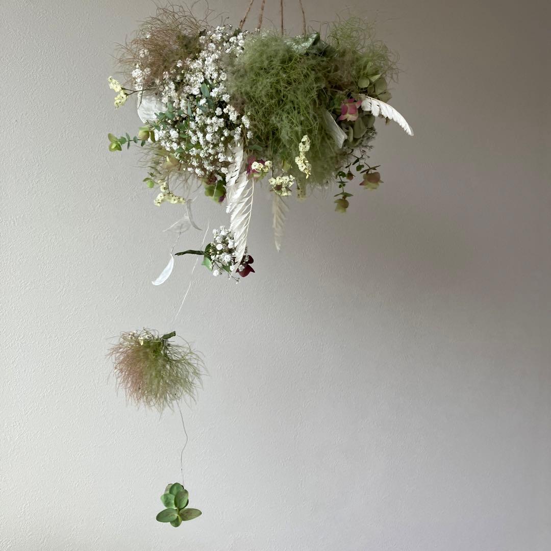 スモークツリー とかすみ草のフライングリース　オレガノ　ケントビューティー