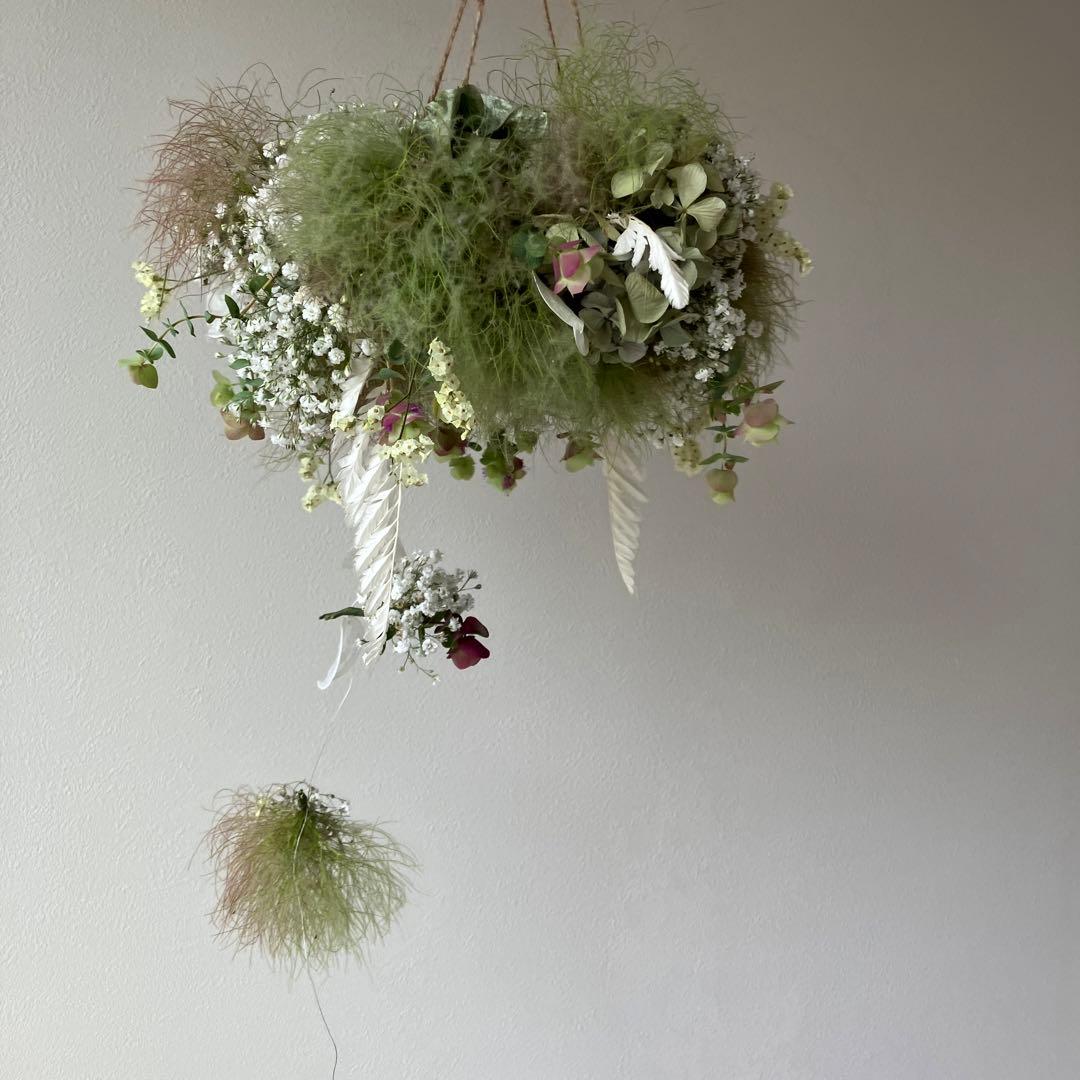 スモークツリー とかすみ草のフライングリース　オレガノ　ケントビューティー