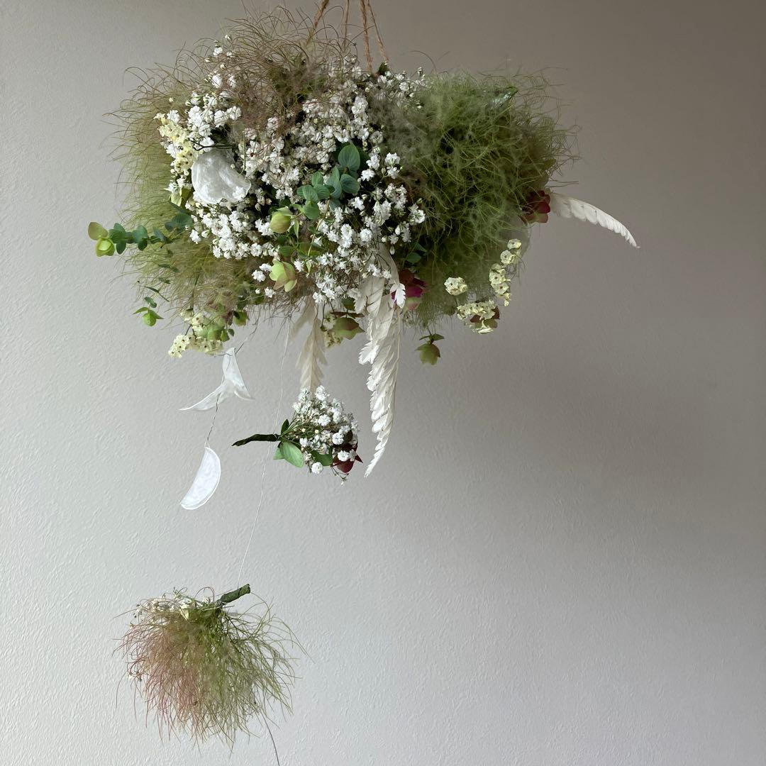 スモークツリー とかすみ草のフライングリース　オレガノ　ケントビューティー