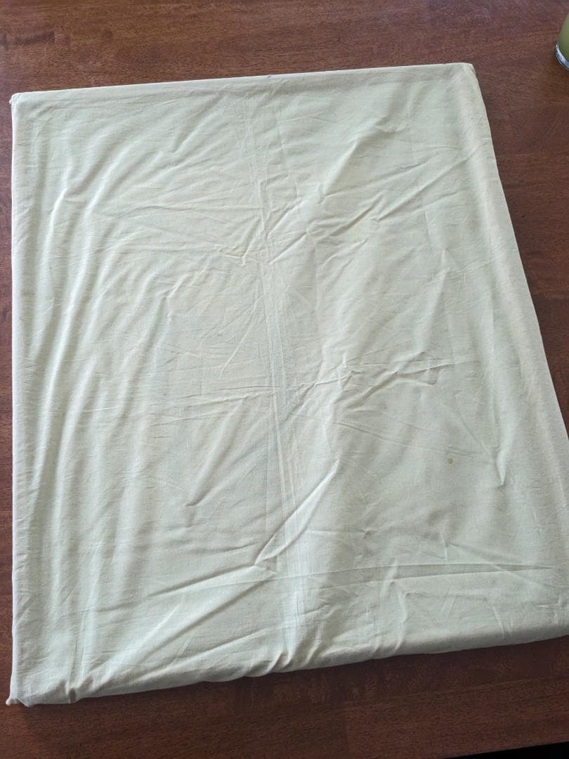 みっちまん2019：マリー・ローランサン　「二人の少女と犬」