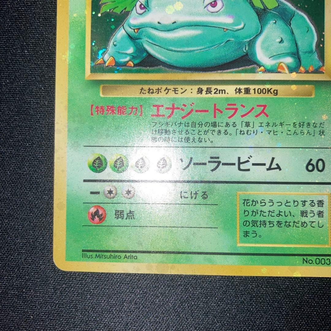 美品　全面ホロ　フシギバナ　旧裏　キラ　ホロ