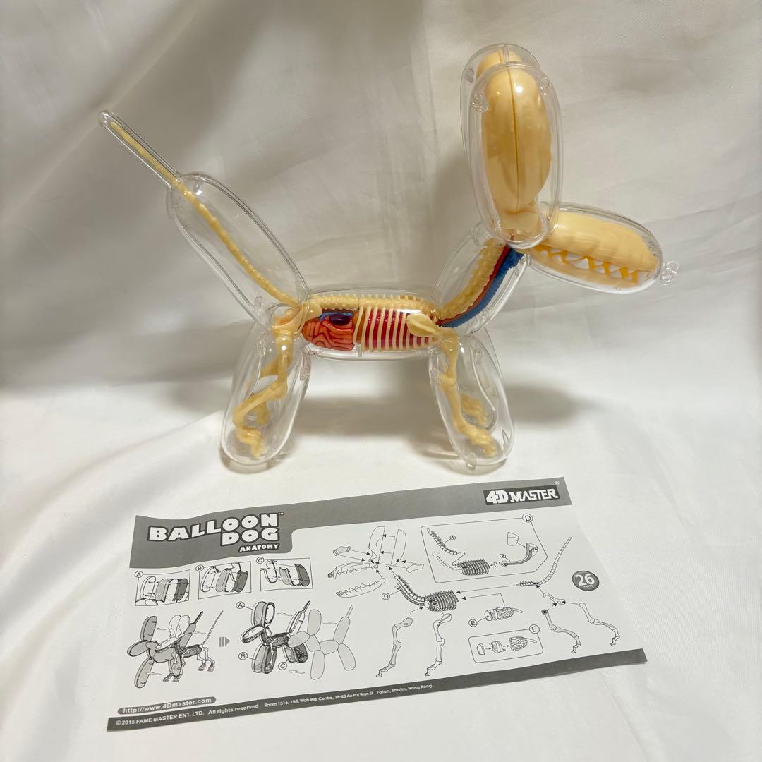 4d master フォーディーマスター バルーンドッグ　スケルトン　クリア