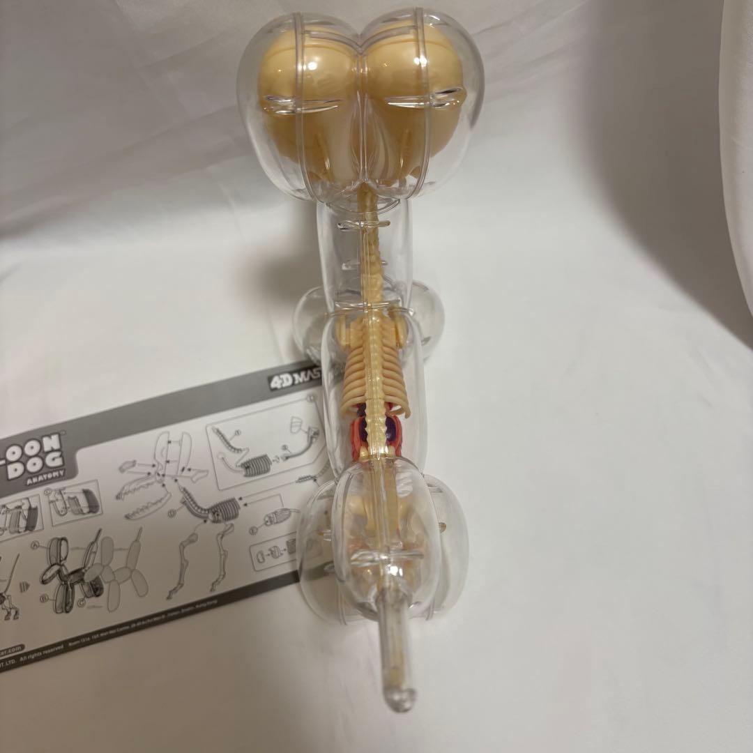 4d master フォーディーマスター バルーンドッグ　スケルトン　クリア