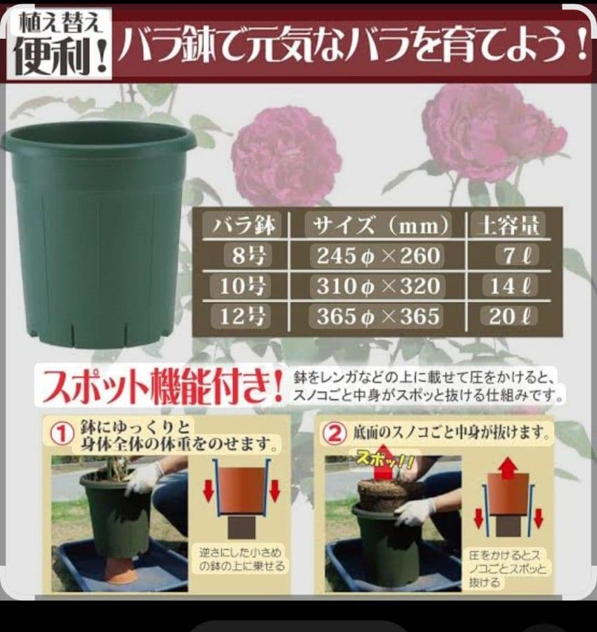 アップルウェアー　バラ鉢　８個（中古）