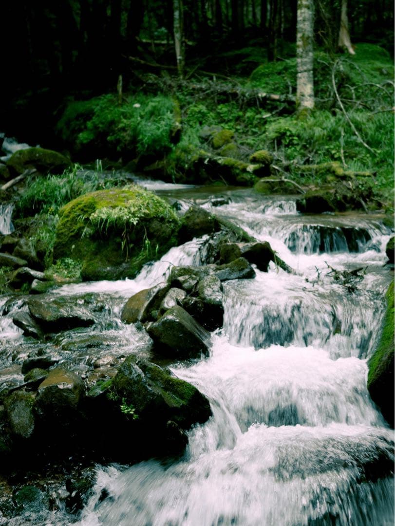 Sigma 30mm f1.4 DC DN ニコンZマウント