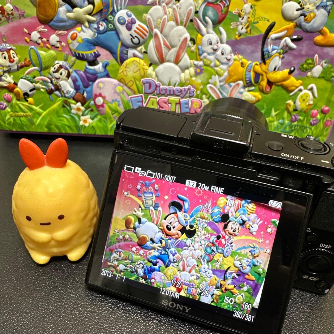 SONY Cyber-shot DSC-RX100M2 動作確認済　訳あり