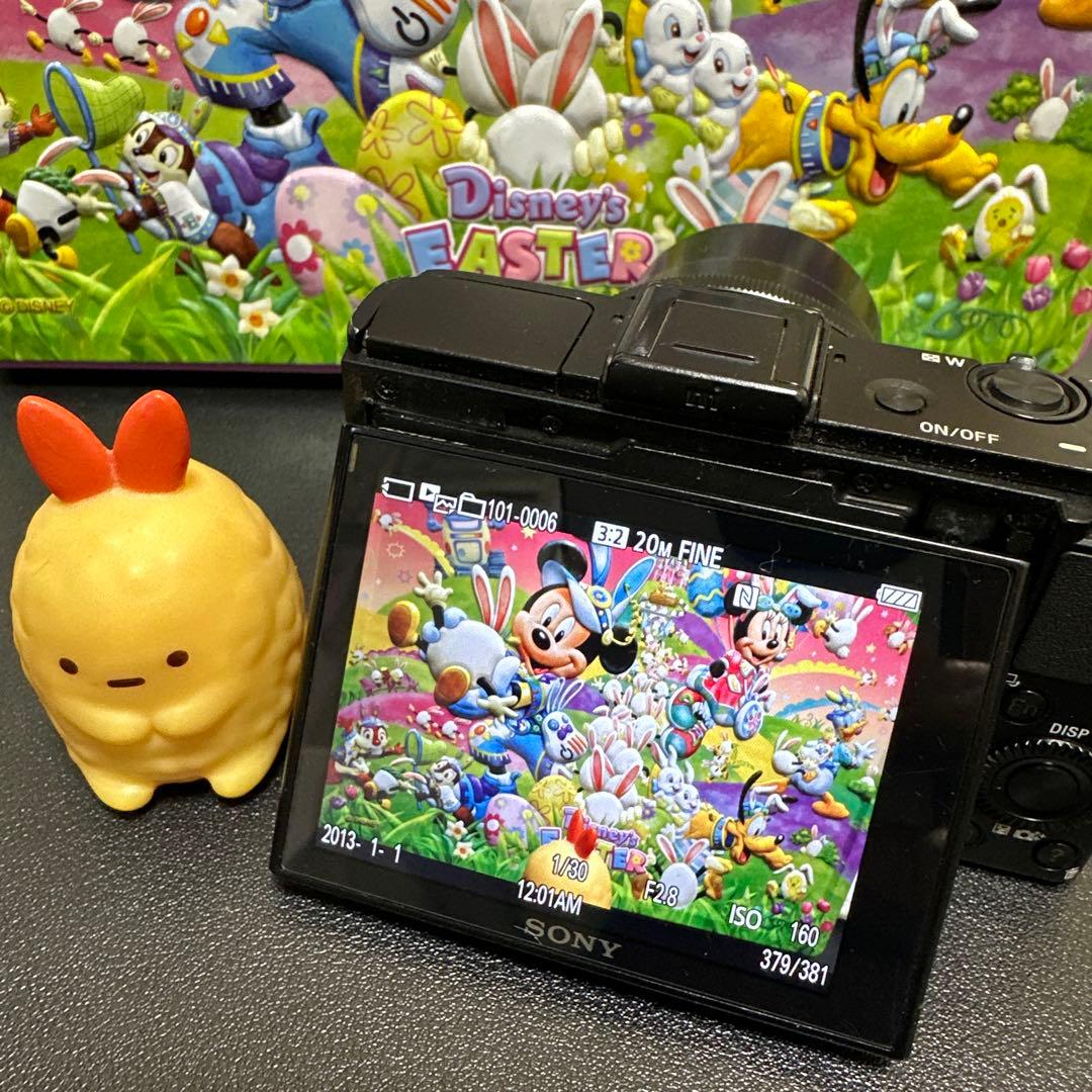 SONY Cyber-shot DSC-RX100M2 動作確認済　訳あり