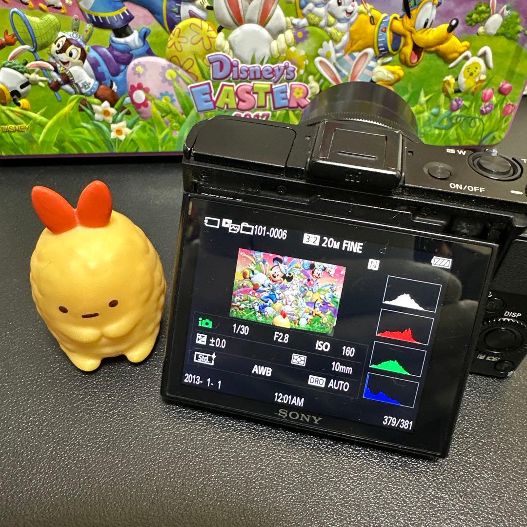 SONY Cyber-shot DSC-RX100M2 動作確認済　訳あり