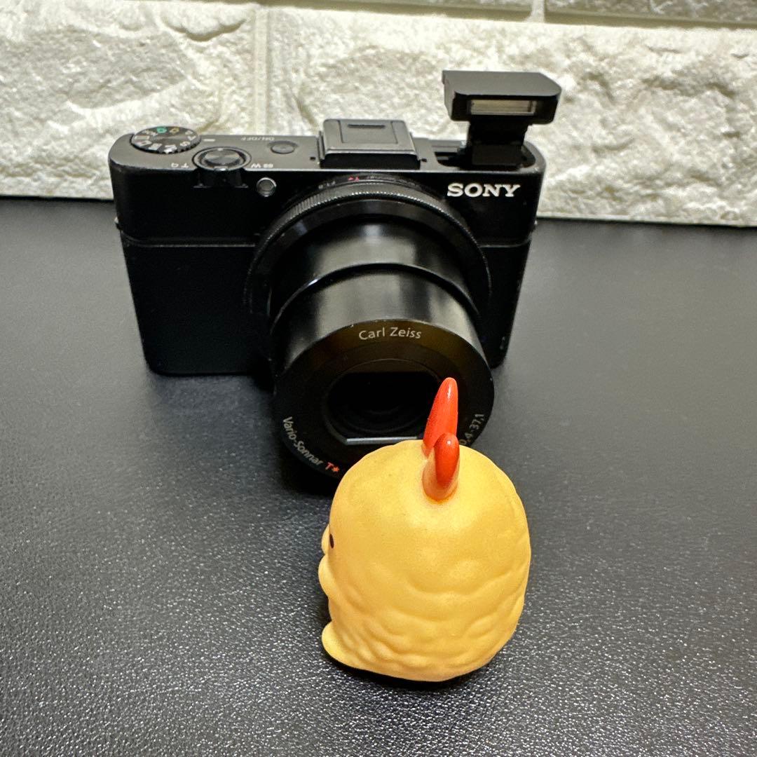 SONY Cyber-shot DSC-RX100M2 動作確認済　訳あり