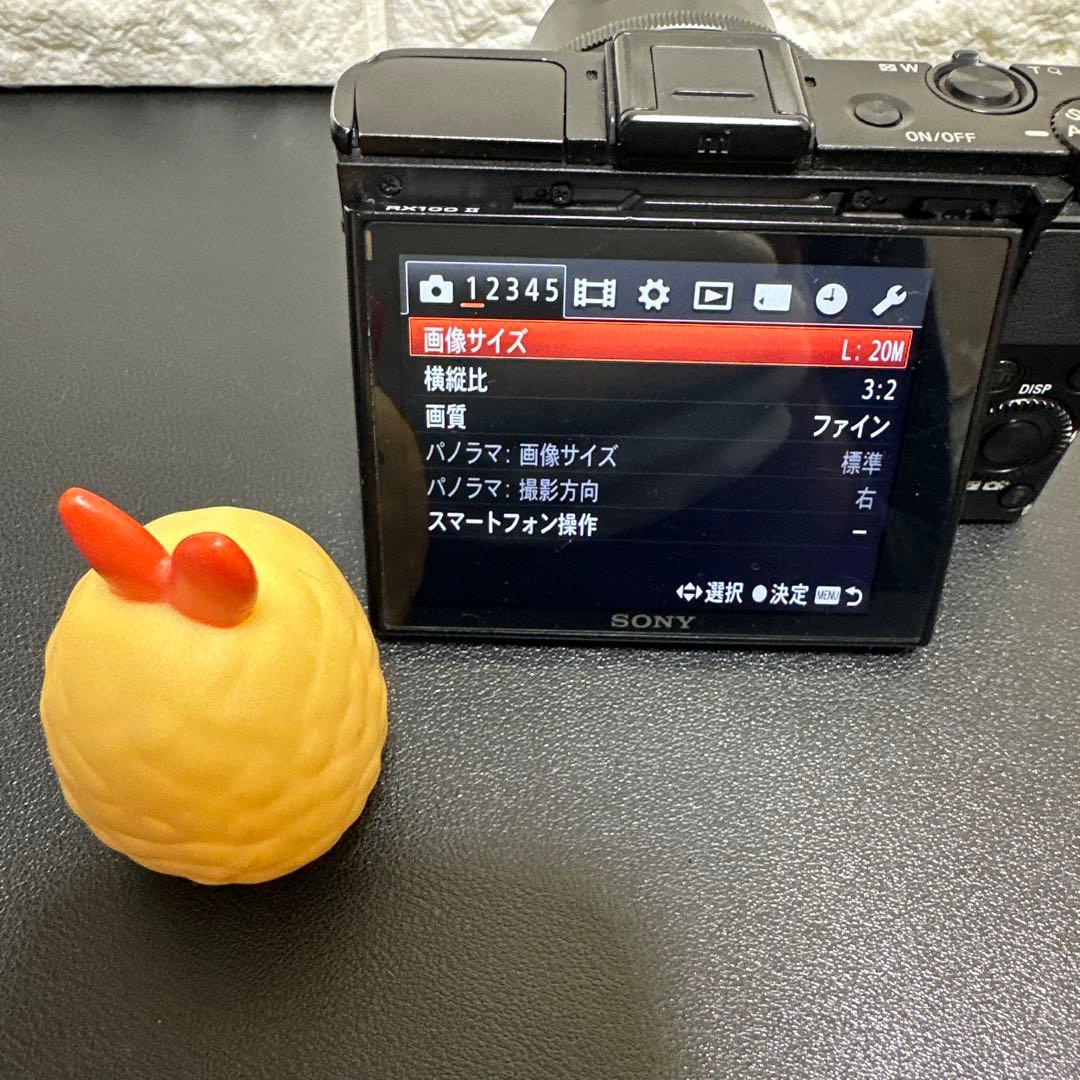 SONY Cyber-shot DSC-RX100M2 動作確認済　訳あり