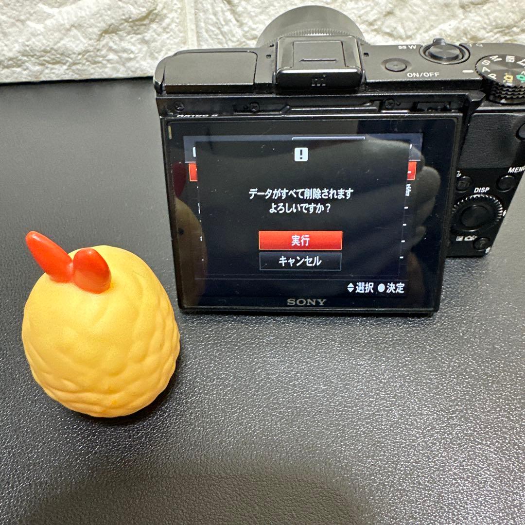 SONY Cyber-shot DSC-RX100M2 動作確認済　訳あり