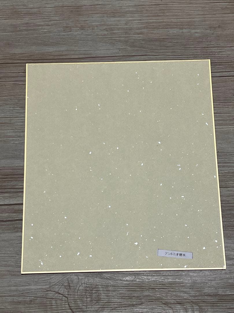 燃える闘魂　アントニオ猪木 直筆サイン　書道　真作　色紙　レア