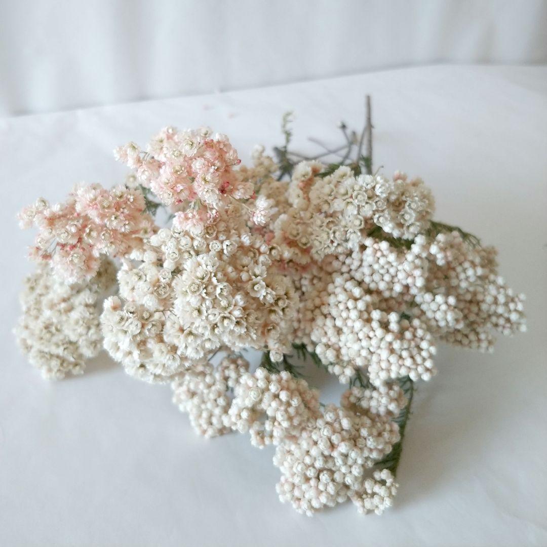 jm様 リクエスト 5点 まとめ商品