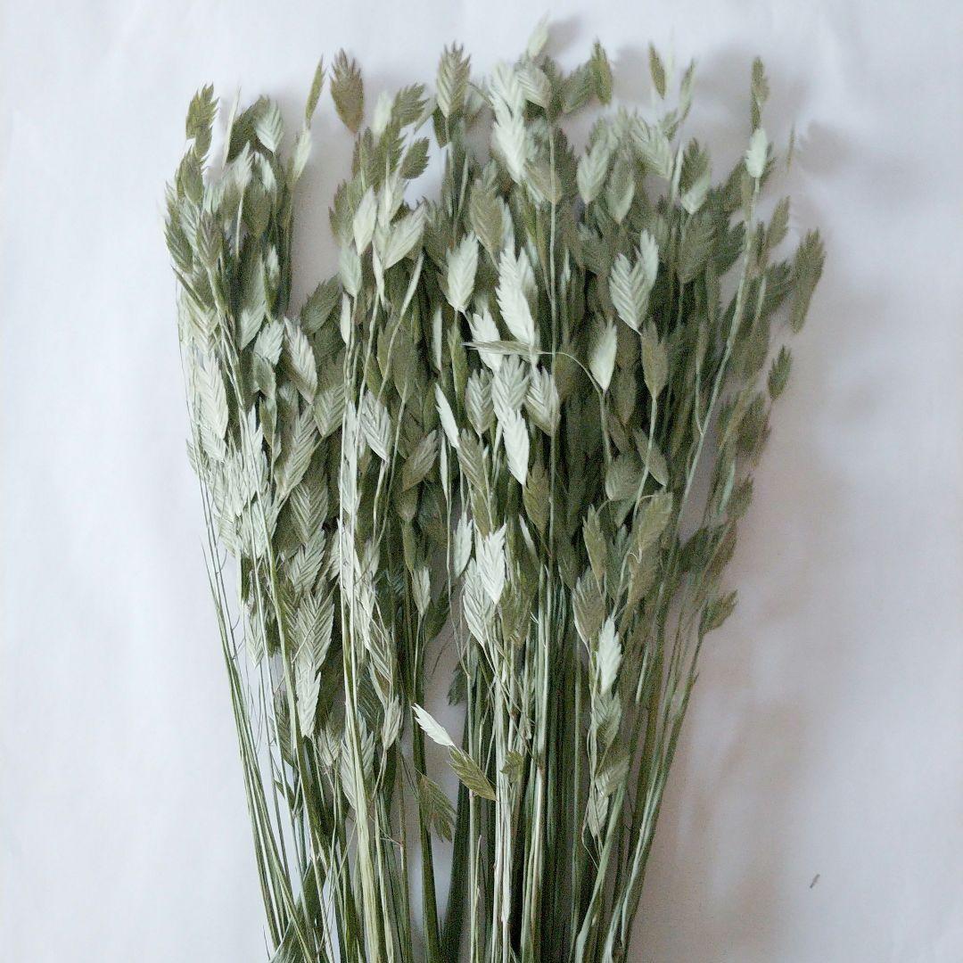 jm様 リクエスト 5点 まとめ商品