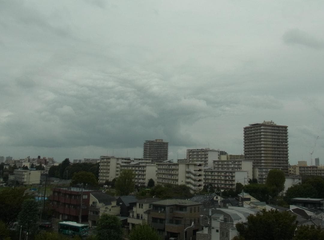 RICOH CX4 完動美品　マニュアル・充電器・電池3個付き