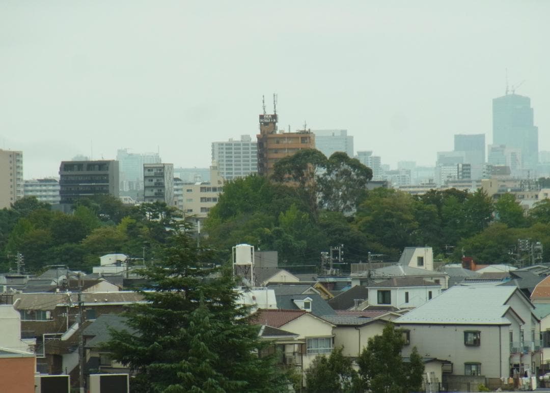 RICOH CX4 完動美品　マニュアル・充電器・電池3個付き