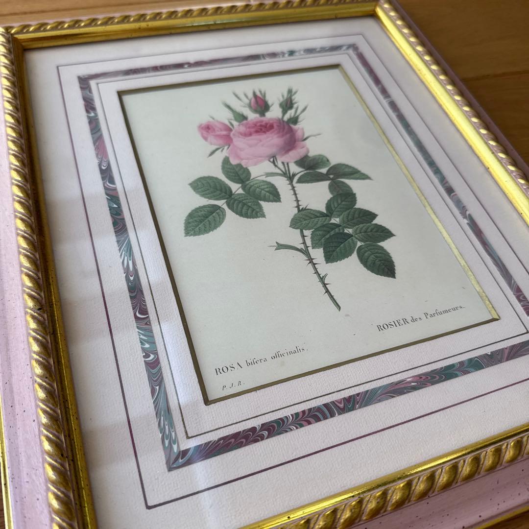 ピエール・ジョゼフ・ルドゥーテ作「ロジェ・デ・パルフュムール」