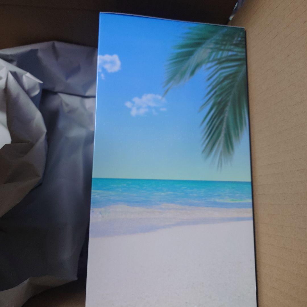 ムーンキャンサー 1/7 Gracemaster